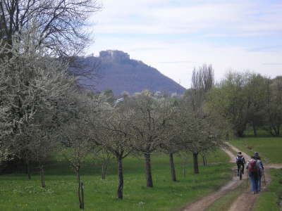 Kleine Allgu Tour - Hohenneuffen 1